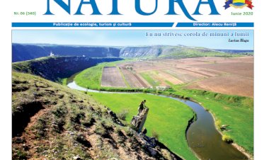 Numărul Iunie 2020 - descărcare gratis pentru toți!