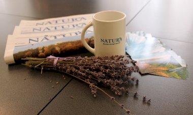 Revista Natura, pâinea noastră cu maia