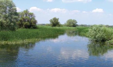 Delta Dunării: Paradisul păsărilor