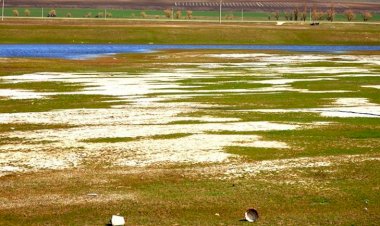 Declarația Partidului Verde Ecologist în privința irigării solurilor cu ape subterane