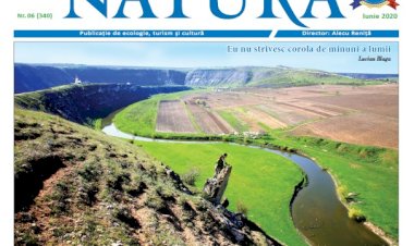 Ce mai e nou în presa scrisă de expresie românească de la Chișinău și Cernăuți?