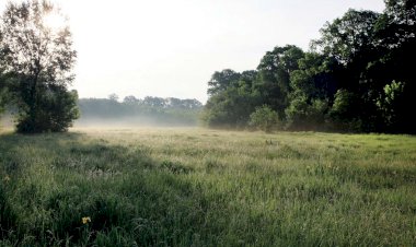 La Călinești, locul unde pădurea își dă întâlnire cu lunca