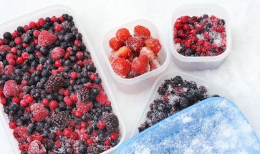 Regulile de aur ale bunicii (despre congelarea fructelor)