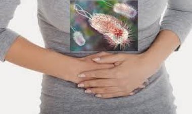 Toxiinfecțiile alimentare: măsuri prin care pot fi prevenite