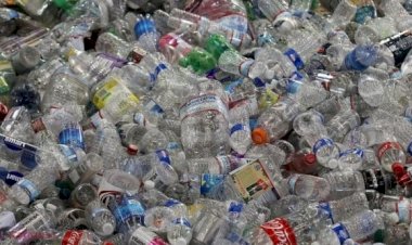 Particule de plastic descoperite în toate țesuturile umane studiate în laborator.