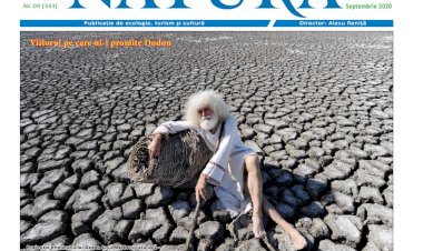 NICIUN VOT TRĂDĂTORILOR DE NEAM