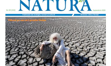 Numărul Septembrie 2020 - descărcare gratis pentru toți!