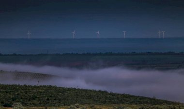 Energia eoliană şi păsările sălbatice