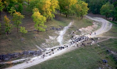 „Datorită fotografiilor Dvs am văzut ce frumos arată țara noastră”