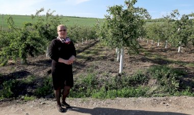 În Moldova se va deschide prima fermă eco de porci din țară