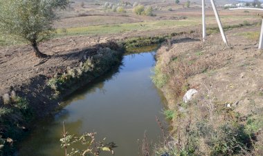 Expediţii ecologice pe râul Botna