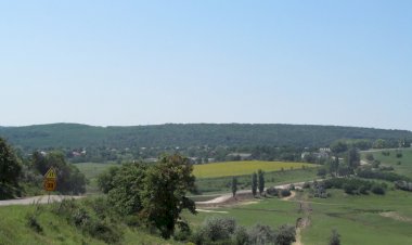 Risipeni