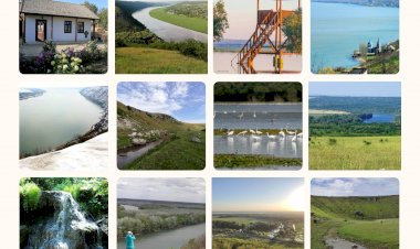 Pe cărările anului 2020