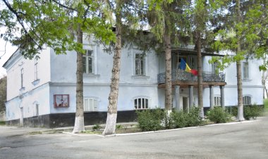 Conacul lui Vasile Stroescu din Brânzeni