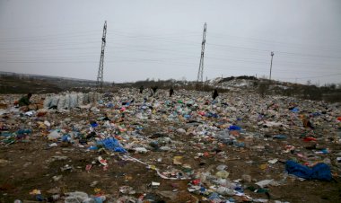 Orice poluator trebuie să plătească