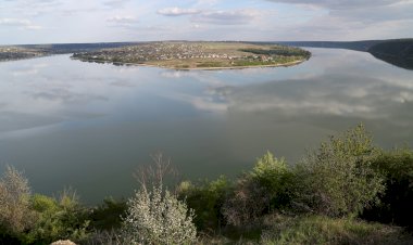 2 februarie - Ziua Internațională a Zonelor Umede