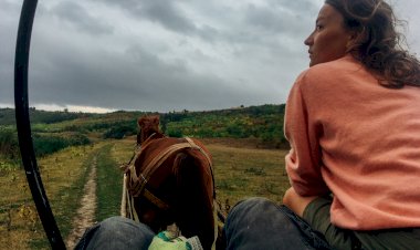 Povestea celor patru cai. O altfel de călătorie prin Moldova