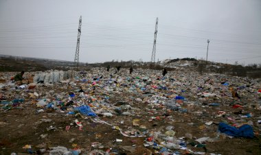 Impas în sortarea deșeurilor