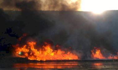 Incendiile de vegetaţie - un pericol pentru viaţă şi mediu