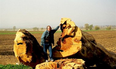 Vlad Pohilă: pârcălabul geniului românesc