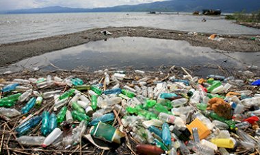 De unde începe educaţia ecologică