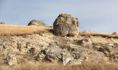 Indiferența ne va distruge
