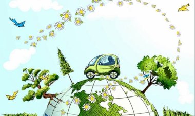 Cultura ecologică a tinerilor