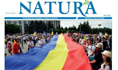 TRICOLORUL LUI GHEORGHE MURUZIUC