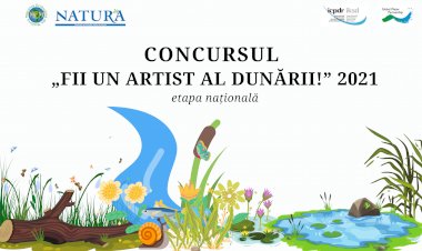 Concurs pentru copiii și tinerii din Republica Moldova: Fii un Artist al Dunării!
