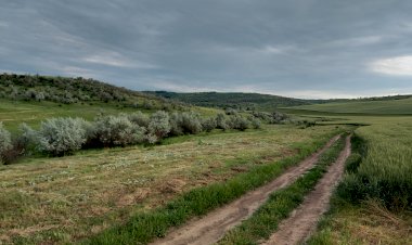 Aventuri pe două roţi