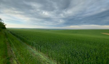 Aventuri pe două roţi (2)