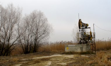 Scrisoare deschisă către Guvern din partea locuitorilor Sloboziei Mari: Lacul Beleu e pe cale de dispariție și trebuie salvat