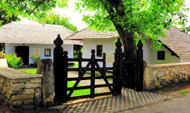 Casa-Muzeu „Grigore Vieru” din Pererita