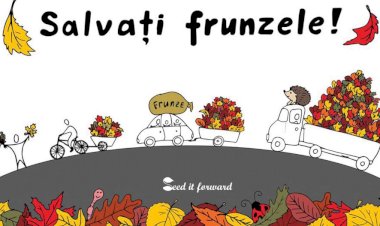 Resurse, nu gunoi. De ce nu trebuie să ardem frunzele