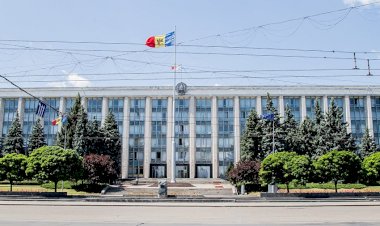 Zeci de ONG-uri cer Guvernului să explice poziția Moldovei la votarea deciziei prin care lichidarea „Ecodom” a fost recunoscută drept persecuție și hărțuire