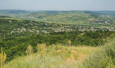 Vorniceni