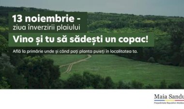 Maia Sandu i-a îndemnat pe tinerii din Republica Moldova să se alăture Campaniei Naționale de Înverzire a Plaiului