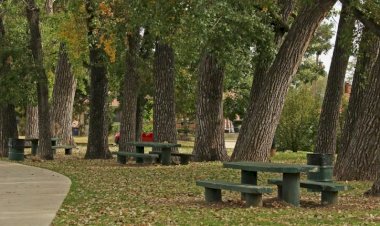 Modificări cu riscuri de corupţie în legea privind spaţiile verzi: fără expertiză obștească și fără acordul cetățenilor