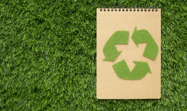 Cum să fii o companie eco-friendly?