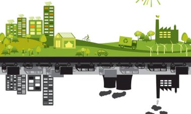 Ce cred cetățenii despre schimbările climatice: de la împădurire la energii regenerabile
