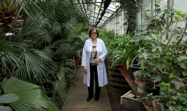 Grădina Botanică, „bijuteria verde” a Chișinăului