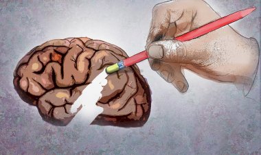 Afecțiuni neurologice frecvente