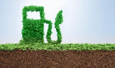 Marea dilemă: producţie alimentară agricolă sau biocarburanţi?