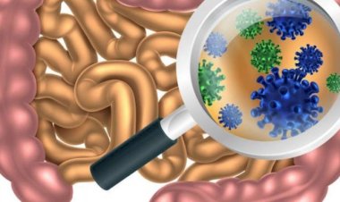 Infecția cu rotavirus: transmitere, simptome, tratament și prevenție