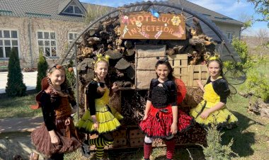 Proiectul „Spre o școală mai verde, durabilă și eficientă”: Elevii și profesorii învață de la experți cum să devină agenți ai schimbării