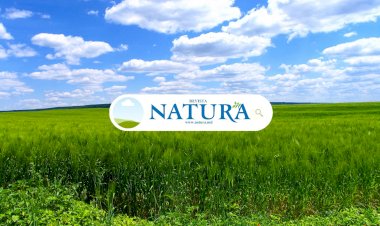 Vă mulțumim că sunteți alături de noi!