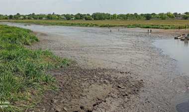 Cât ne costă poftele unora de a face bani pe seama naturii