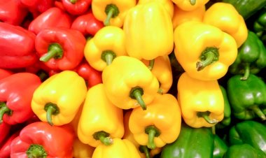 Ardeiul gras, beneficii și contraindicații