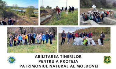 Proiecte mici, dar cu impact mare pentru comunități locale și mediu