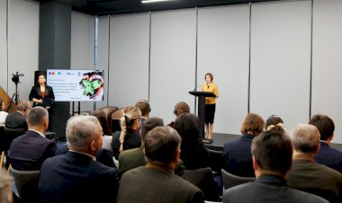 Schimbarea climei nu mai poate fi ignorată: Secetele ne lasă fără roada pe câmpuri, seacă apele și usucă copacii în păduri